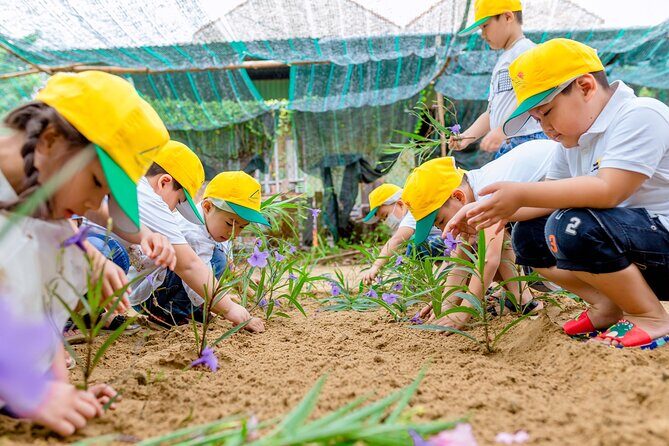 Cooking Class Hoi An - Organic Garden - Farming Tour - The Food: More Than Just Cooking