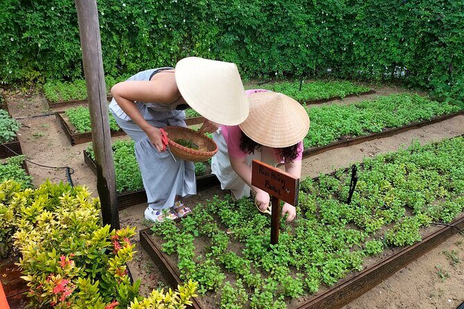 Cooking Class Hoi An - Organic Garden - Farming Tour - Practical Details: What You Need to Know
