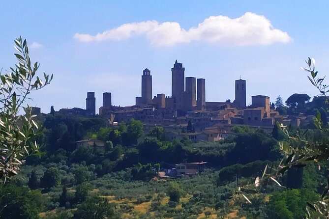 Cooking Class in a Real Tuscan Farmhouse - Why This Experience Truly Shines
