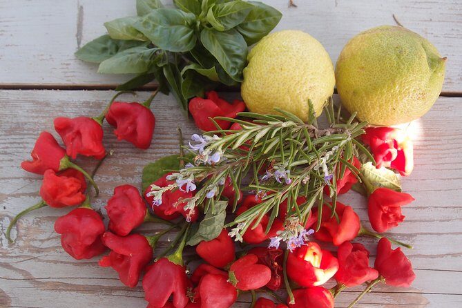 Cooking class, traditional Greek cuisine, on a Greek island - FAQ