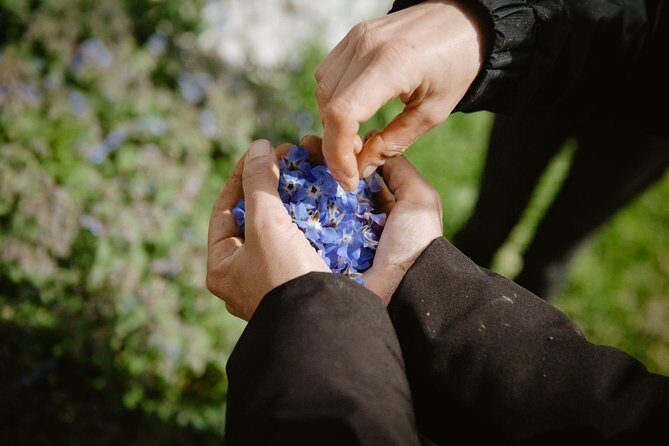 Cooking class: We prepare orecchiette with vegetables from the garden - Introduction