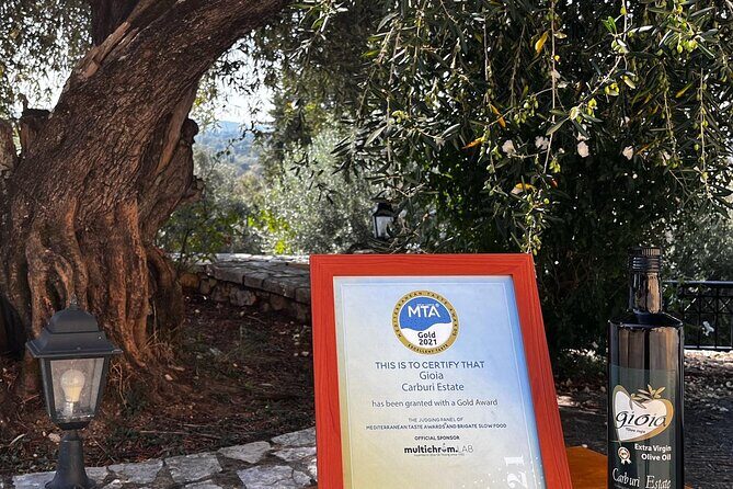 Cooking Classes and olive oil tasting.The real taste of Greece! - The Sum Up