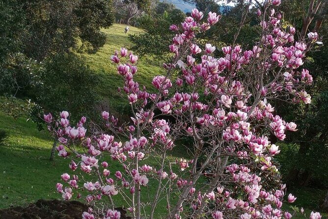 Cooking Classes on Witta Maleny Sunshine Coast - Key Points