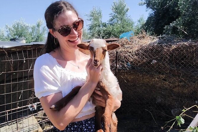 Cooking Lesson in Heraclion - The Sum Up: Who Will Love This Experience?