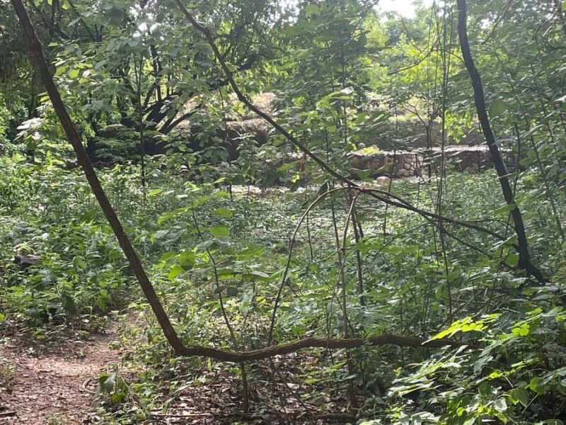 Copalita: Copalita Archaeological Site & La Crucecita Tour - Practical Details and Logistics