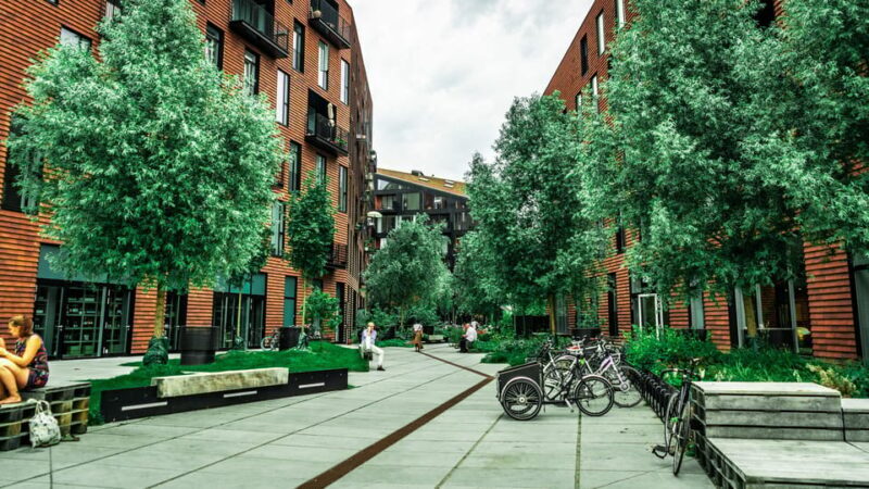 Copenhagen: 1.5-hour Private Walking Tour of Christianshavn - A Detailed Look at the Christianshavn Walking Tour