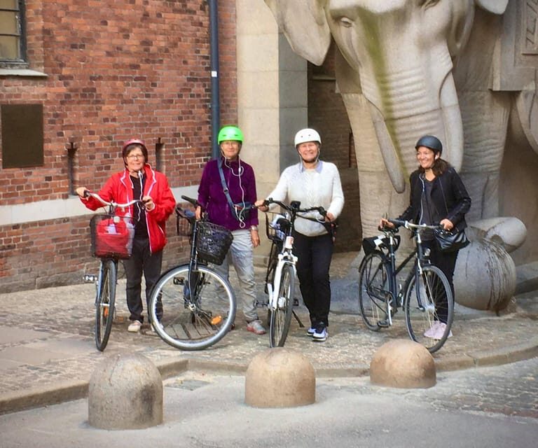 Copenhagen: 2,5-Hour 'Must See' Bike Tour with a Local Guide - Practical Details