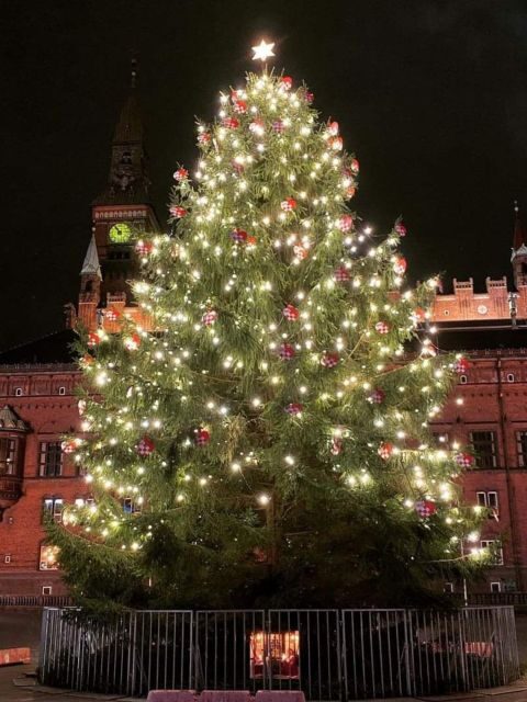 Copenhagen: Christmas Charm Walking Tour with Holiday Beer - Authenticity and Travel Value