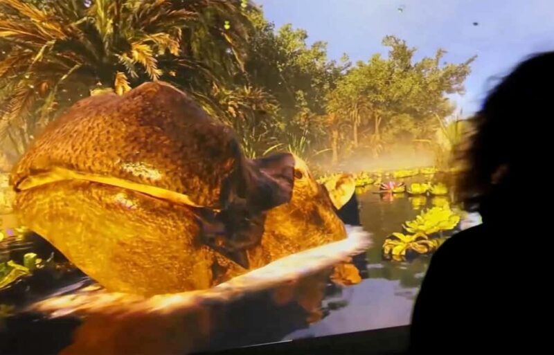 Copenhagen: Hologram Zoo Africa Adventure 40 minut - Who Will Love the Hologram Zoo?