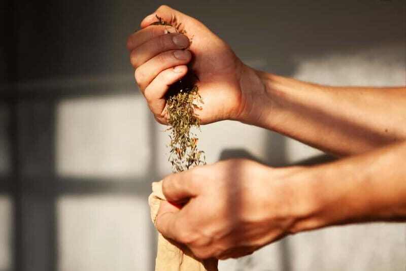 Copenhagen: Locally Brewed Kombucha Tasting Experience - Key Points