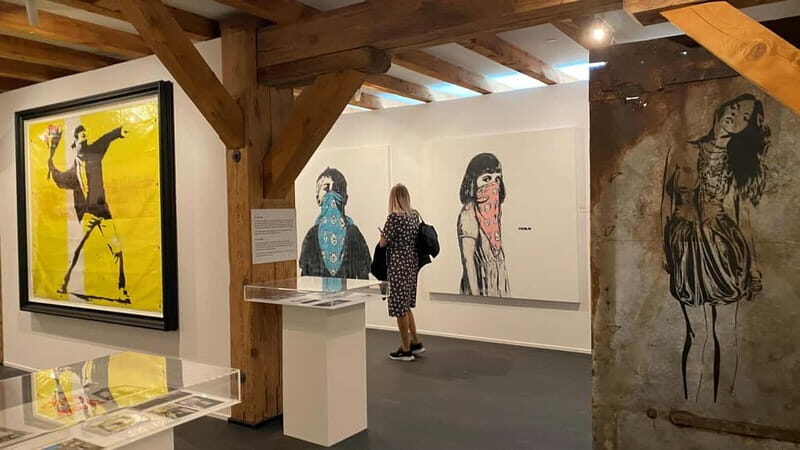 Copenhagen: MACA Art Museum Entry Ticket - Discovering the MACA Art Museum Experience