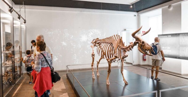 Copenhagen: National Museum of Denmark Entry Ticket - A Deep Dive into the Museum Experience