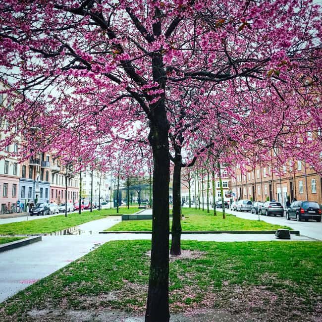 Copenhagen: Politically Incorrect Beer Tasting Walking Tour - Who Should Consider This Tour?