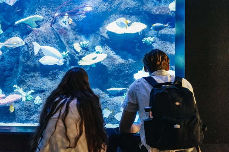 Copenhagen: Tivoli Gardens Entry Ticket - Quick Overview