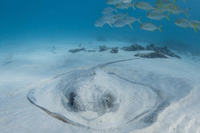 Coral Bay 3-Hour Turtle Ecotour - Frequently Asked Questions