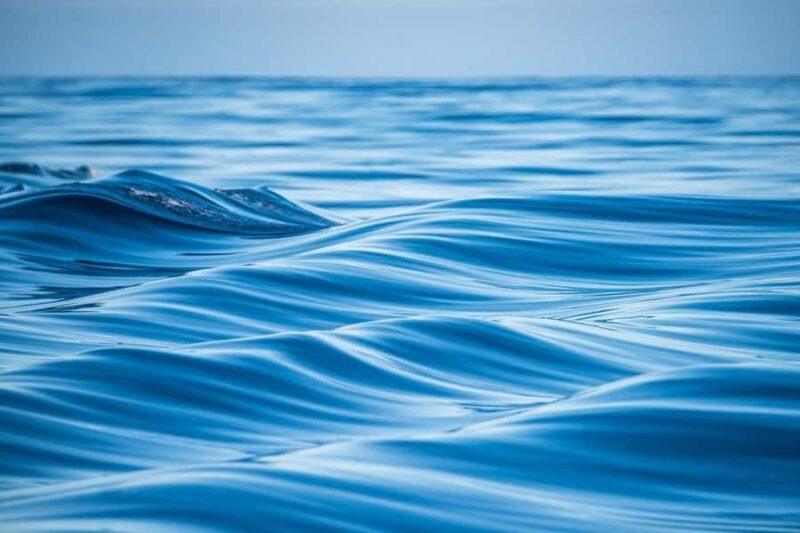 Coral Bay: Half Day Ningaloo Reef Adventure with Manta Rays - Key Points