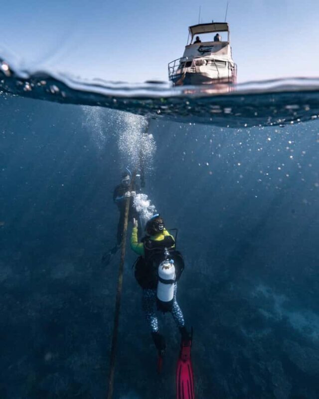 Coral Bay: Half Day Ningaloo Reef Adventure with Manta Rays - Wildlife Encounters and Scenic Highlights