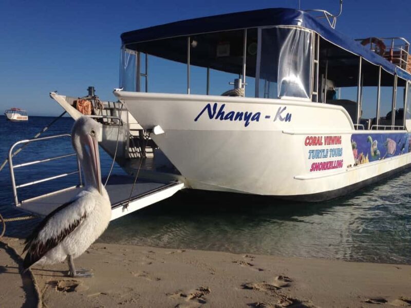 Coral Bay: Ningaloo Reef 3-Hour Turtle Ecotour - Why Choose This Tour?