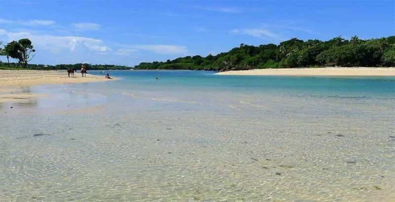 Coral Coast Adventure: Biausevu Waterfall & Natadola Beach - Insights from Reviewers