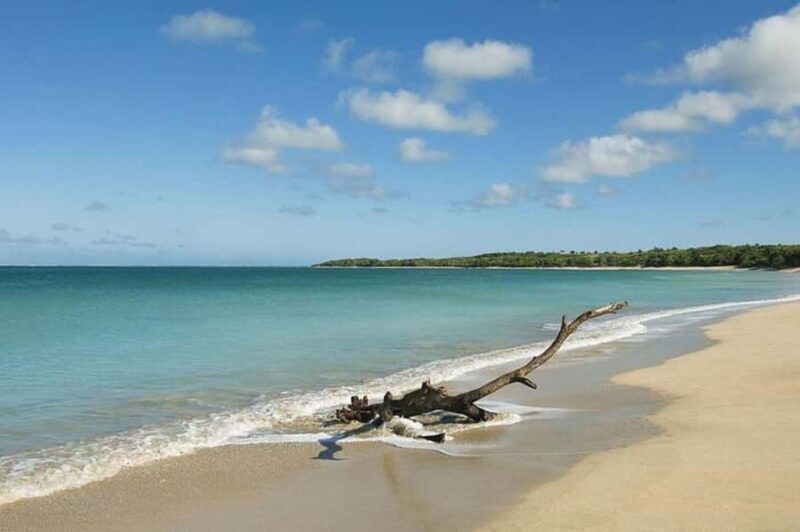 Coral Coast Adventure: Biausevu Waterfall & Natadola Beach - Practical Tips for Travelers