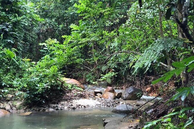 ''Coral Coast Adventure: Biausevu Waterfall & Natadola Beach !'' - Final Thoughts