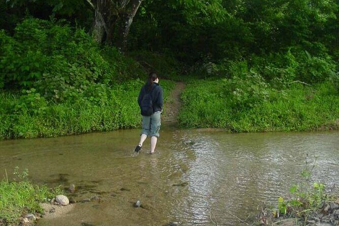 ''Coral Coast Adventure: Biausevu Waterfall & Natadola Beach !'' - Frequently Asked Questions