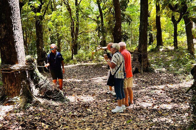 Coral Coast Heritage Tour - Authentic Touches and Customer Feedback