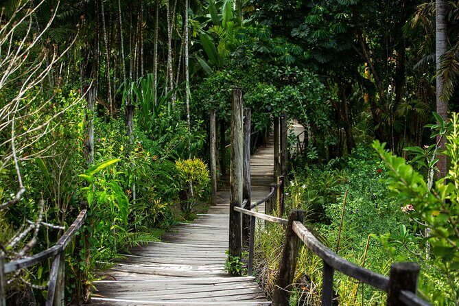 Coral Coast Sightseeing & Pottery Village Tour - The Sum Up