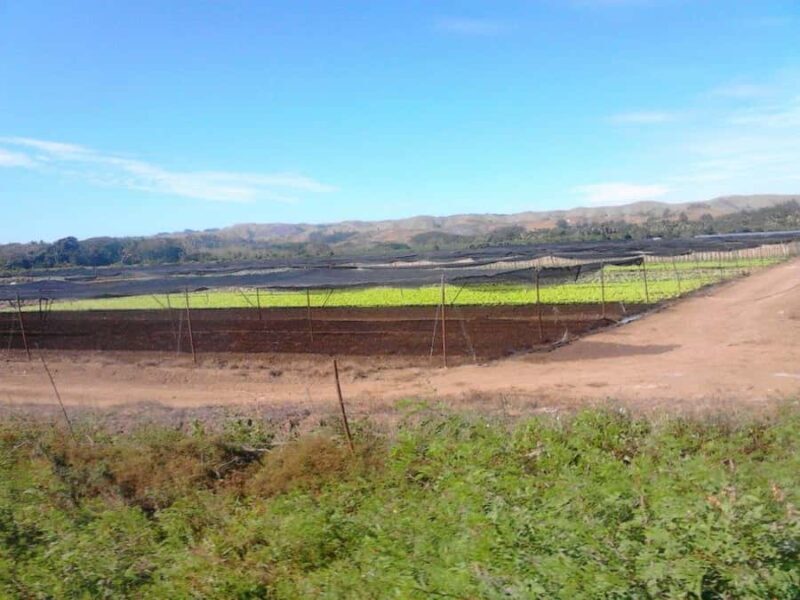 Coral Coast & Village School Tour from Nadi or Denarau - Frequently Asked Questions