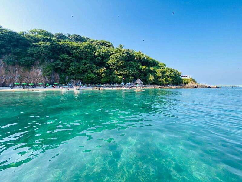 Coral island guayabitos beach and snorkeling - The Experience from Reviews
