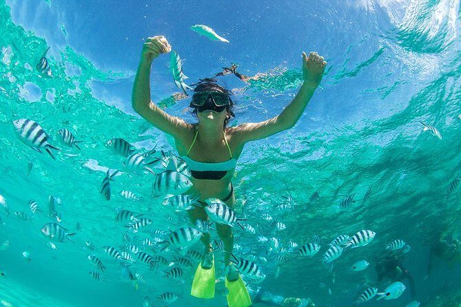 Coral Island Half-day Tour - FAQ