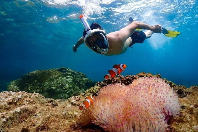 Coral Island Tour and Water Activities with Meal in Pattaya - FAQ