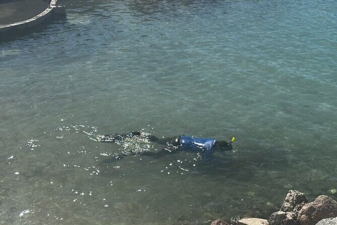 Coral Nursery Snorkeling Eco Adventure in La Paz - Key Points