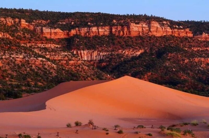 Coral Pink Sand Dunes: UTV Sunset Ride - Authentic Experiences from Past Travelers