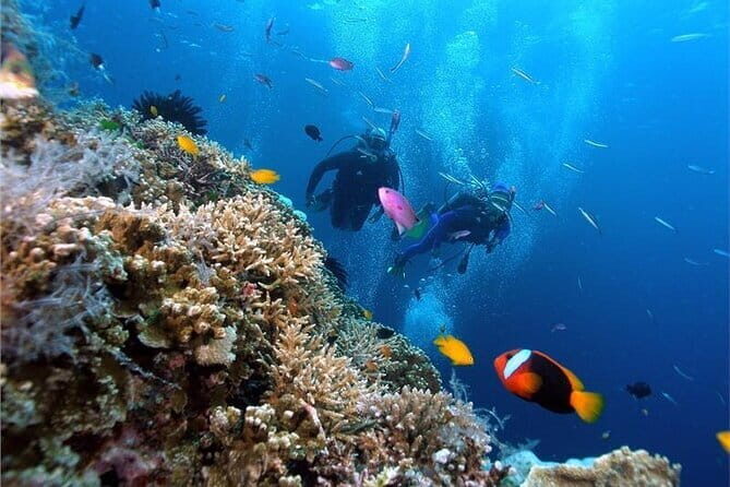 Coral Reef Snorkeling and Floating Bar Party from Nha Trang - Key Points