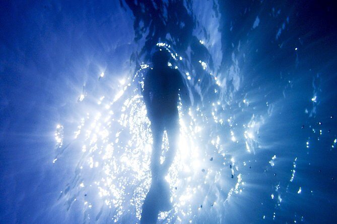 Coral Sea Dreaming Overnight Dive, Snorkel and Sail - Who Is This Tour Ideal For?