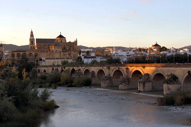 Cordoba and its Mosque Tour from Seville Full-Day Guided Tour - Is This Tour Worth It?