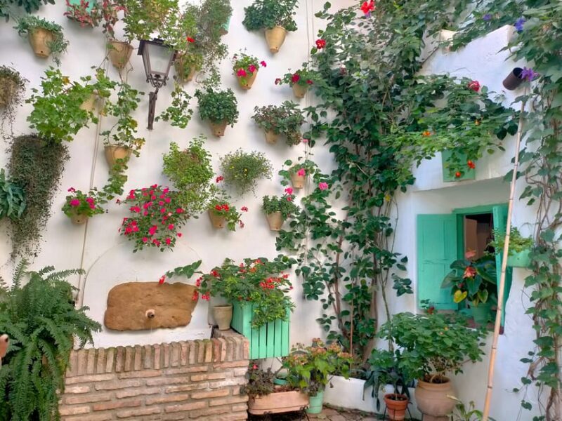 Cordoba Courtyards by Bike, Electric Bike - An In-Depth Look at the Cordoba Patios Bike Tour