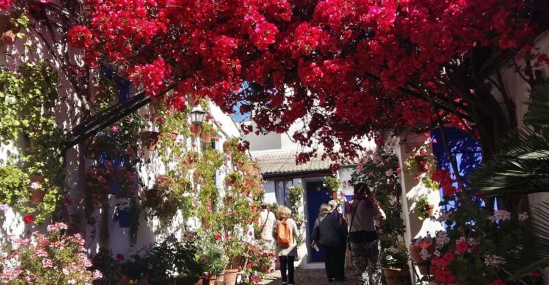 Cordoba Courtyards by Bike, Electric Bike - Practical Tips for Your Tour