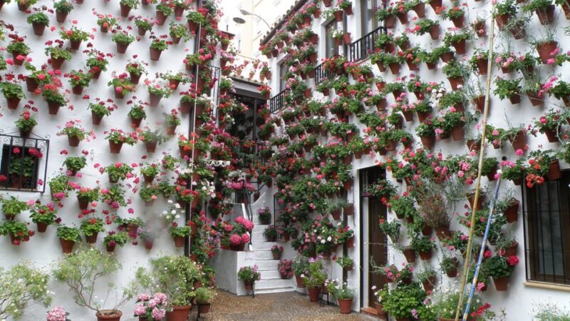 Cordoba Courtyards by Bike, Electric Bike - FAQs