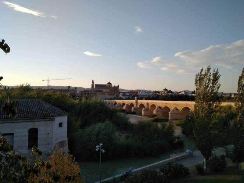 Córdoba Daily Highlights Bike Tour - What to Expect from the Itinerary