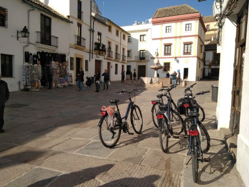 Córdoba Daily Highlights Bike Tour - The Guides and Group Size
