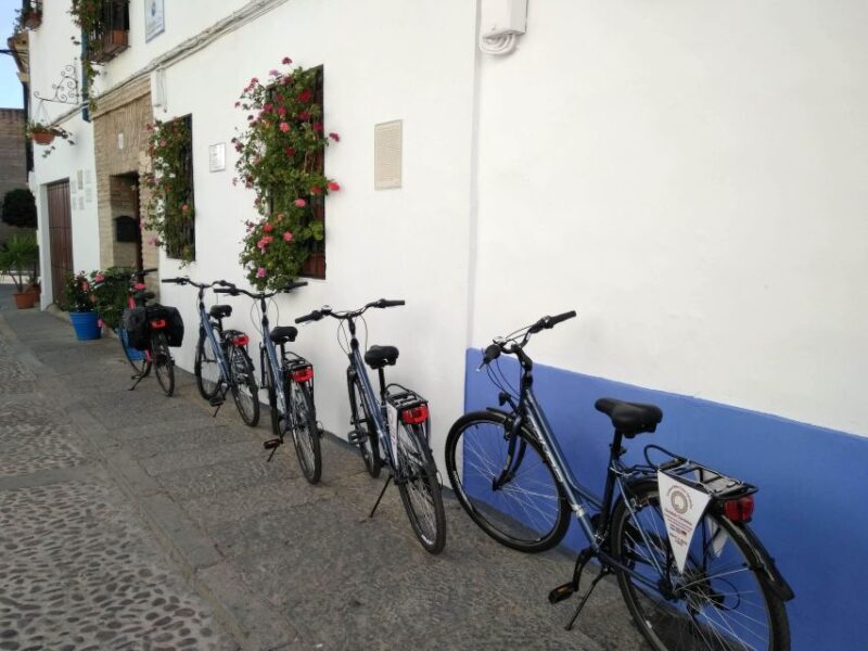 Córdoba Daily Highlights Bike Tour - Quality and Comfort of Bikes