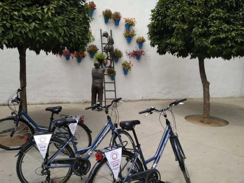 Córdoba Daily Highlights Bike Tour - The Sum Up