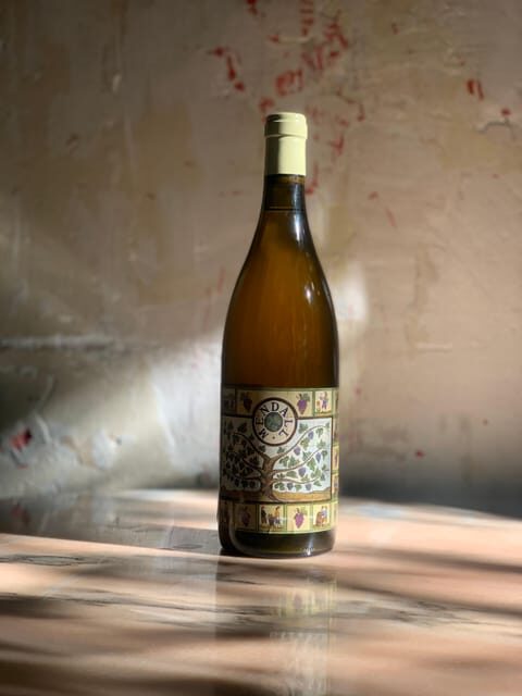 Córdoba: Discover the Soul of Spanish Natural Wine & Cuisine - Final Thoughts: Who Will Love This Experience?