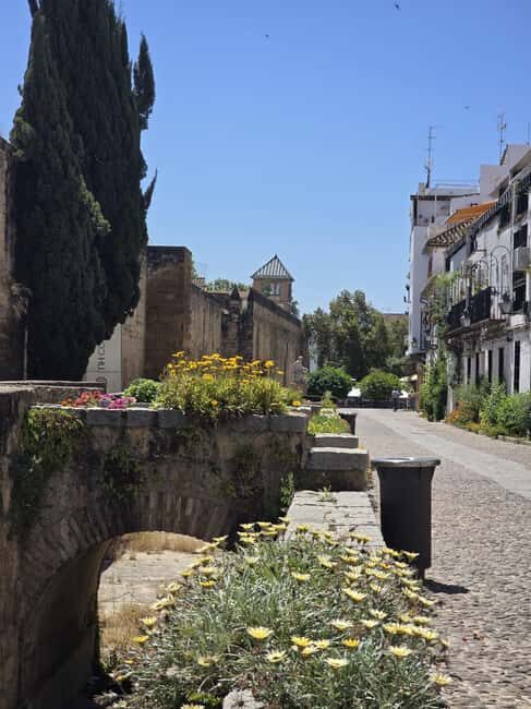 Córdoba: Entrance Ticket for the Fernandine Churches Route. - Key Points