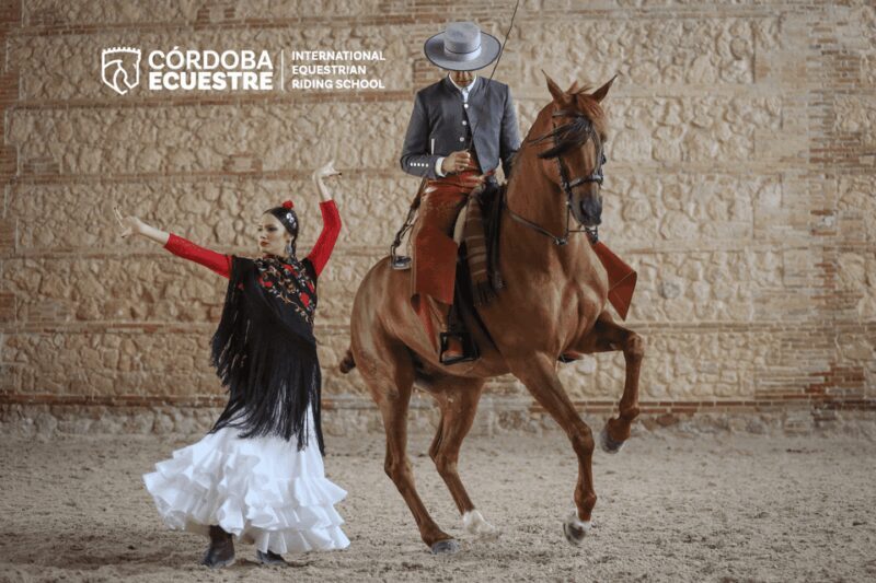 Cordoba: Equestrian Show General Entry - An In-Depth Look at the Equestrian Experience