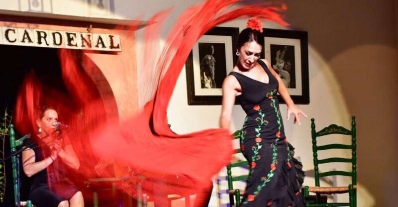Córdoba: Flamenco Show Ticket with Drinks - Introduction