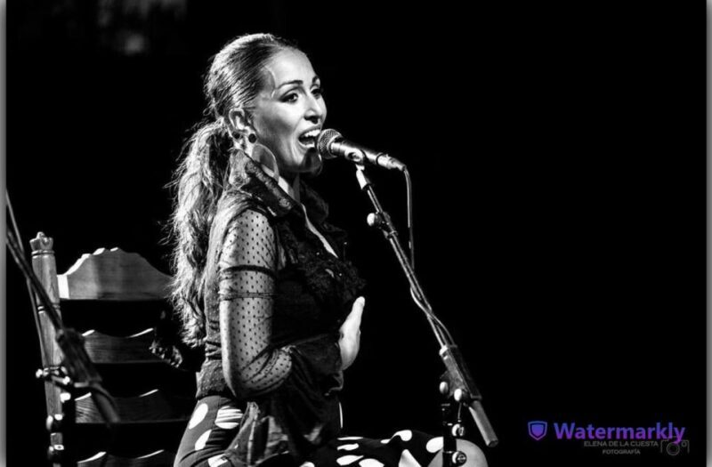 Córdoba: Flamenco Show Ticket with Drinks - Key Points