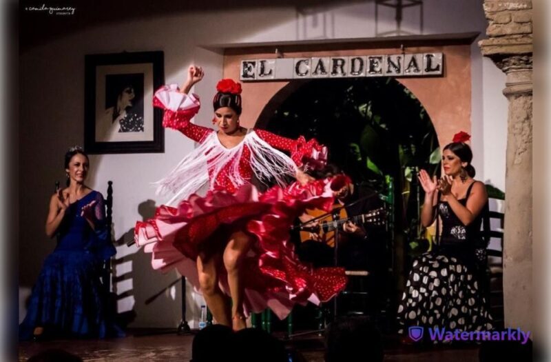 Córdoba: Flamenco Show Ticket with Drinks - Drinks and Food Options